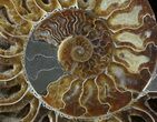 Cut Ammonite Fossil (Half) - Beautifully Agatized #58284-2